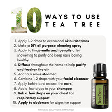 Cargar imagen en el visor de la galería, dōTERRA Tea Tree (Melaleuca) Aceite Esencial - 15ml